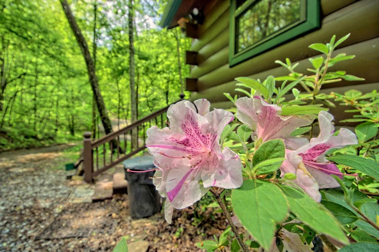 Tree Song Mountain Creek Cabin Ellijay Dış mekan fotoğraf